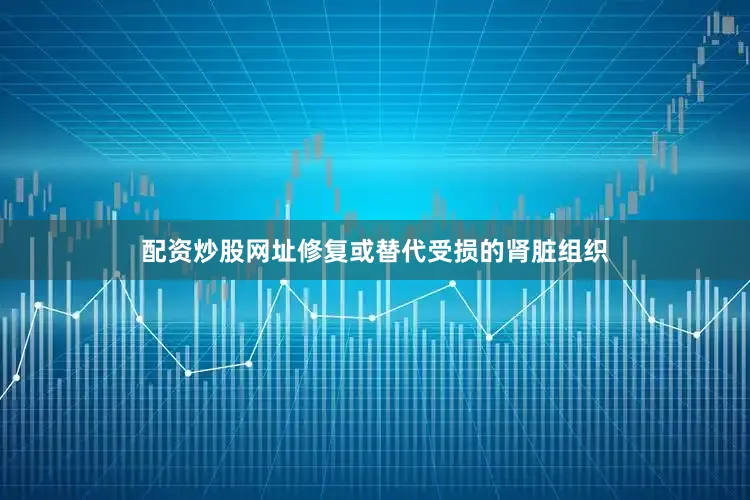 配资炒股网址修复或替代受损的肾脏组织
