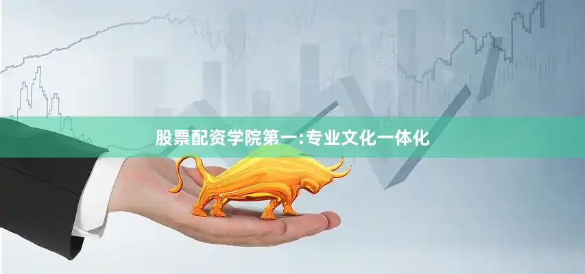 股票配资学院第一:专业文化一体化