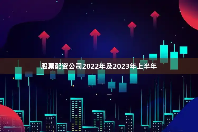 股票配资公司2022年及2023年上半年